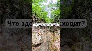 ЧТО ЗДЕСЬ ПРОИСХОДИТ? #крым #каньонинг #дюльфер #туризм #mountains #походыпокрыму #отдыхвкрыму