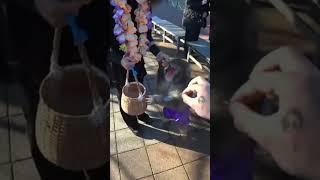 ice poseidon denied by a monkey in japan #japan #japanese #shorts