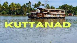 Kuttanad Diaries: A Journey Through Kerala's Green Heart