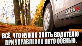 Всё, что нужно знать водителю о вождении в осенний период.