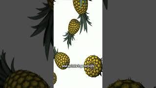 Tropical Baked Pineapple Delight