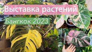 №101. Невероятно красивые и редкие растения на выставке в Бангкоке (Таиланд).