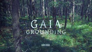 Grounding to Mother Gaia  Shaman Drum Journey, Gong & Nature ROOT Chakra Meditation Music