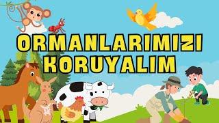 Ormanlarımızı Koruyalım - Çocuk Şarkıları