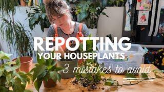 Repotting your houseplants 🪴 3 mistakes to AVOID!