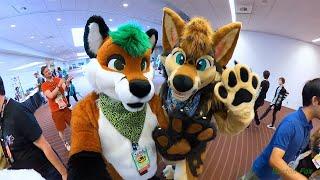 Anthrocon 2024 - Random Clips