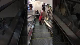 the grooves with this little cutie#staircases#escalator #viral #shorts