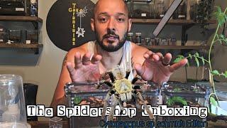 The Spidershop Unboxing [ Cyriopagopus sp Schmidti ]