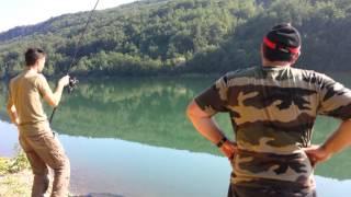 Krapski Ribolov na Globocicko ezero - Wild Carp in Globocica lake - Catch & Release 2013