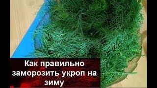 КАК ПРАВИЛЬНО ЗАМОРОЗИТЬ УКРОП НА ЗИМУ//Простая заготовка укропа на зиму//Домашняя кухня СССР