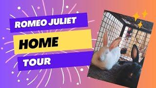 Romeo & Juliet home tour 