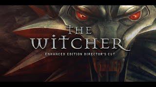 The Witcher Enhanced Edition (серия 23) - Всё становится на свои места