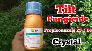 Propiconazole 25% Ec || Tilt Fungicide || Crystal Crop Protection ||