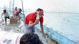 2 দিন 1 রাত পাটা জালে মাছ ধরলাম  আর অসম্ভব মজা করলাম ।@SUNDARBANVLOG