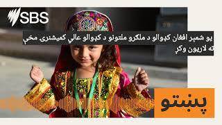 یو شمېر افغان کډوالو د ملګرو ملتونو د کډوالو عالي کمیشنرۍ مخې ته لاریون وکړ | SBS Pashto - اس بي...