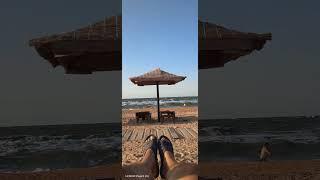 Relax by the sea. Релакс на море #travel #shortsvideo #shortsclip #nature