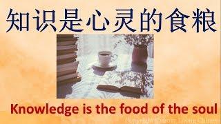 Proverbs in Chinese. 知识是心灵的食粮 . Knowledge is the food of the soul