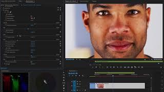 Skin Tone Adjustment in  Magic Bullet Cosmo II