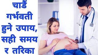 गर्भवती हुने उपाय , सही समय र तरीका। Tips to be pregnant #garbhabati_hune_upaye_sahi_samay_ra_tarika