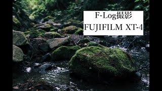 初めてF-Logで撮って動画編集してみた(FUJIFILM|XT-4)