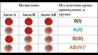 Определение группы крови и резус принадлежности цоликлонами