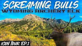 Screaming Bulls | Wyoming Archery Elk Hunt | Icon Tour Ep. 1