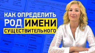 Как определить род имени существительного? Мужской, женский и средний род имен существительных