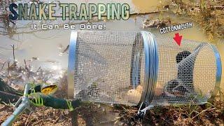 Snake Trapping with Minnow Traps