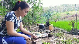 Gadis Dayak || Aktivitas sehari-hari Gadis Suku Dayak di Pondok Sawah