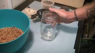 Preparing Grains For Jars