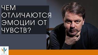 Отличие чувств от эмоций | Константин Дуплищев.