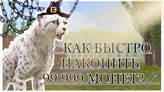 КАК НАКОПИТЬ 99,999 МОНЕТ В WILDCRAFT за 30 МИНУТ?!