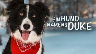 Ein Hund namens Duke (FAMILIENFILM I spannende Spielfilme auf Deutsch, kostenlos streamen)