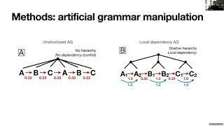 Arturs Semenuks (Cognitive Science) on "Neural Sensitivity to Grammatical Structure"