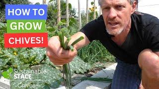 How To Grow Chives!