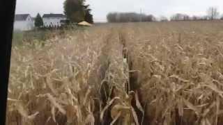 2014 Organic Corn Harvest