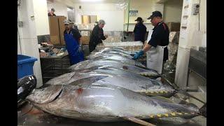 How Canned Tuna is made in the factory