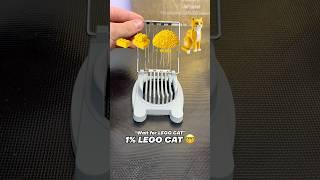 Wait for the Yellow Cat  #shorts