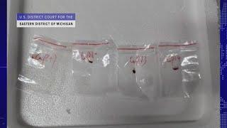 Chinese nationals charged with smuggling toxic fungus into Michigan | On Balance
