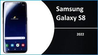 Was kann das Samsung Galaxy S8 von 2017 heute noch leisten? - Moschuss