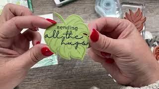 How to create a greeting card with Die Cuts