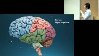 Dr. Octavio Choi presents Brain Basics: An Introduction to Cognitive Neuroscience