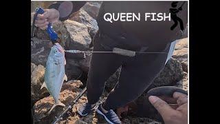 QUEEN FISH-KING FISH-CATCHING AT-OFFSHORE