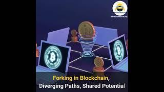 Forking and Network Splits: Understanding Blockchain Divergence