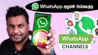 WhatsApp Channels