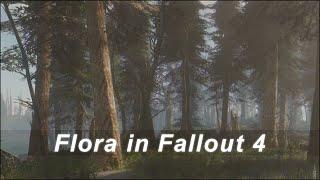 A Walk in the Woods: Flora Overhauls in Fallout 4