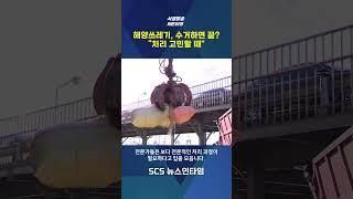 건져낸 해양쓰레기 전처리 체계 마련돼야