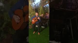 Döwran Saparow (Danatar D) - Arzymy aytmana geldim 2023 #janlyses gitara aydym