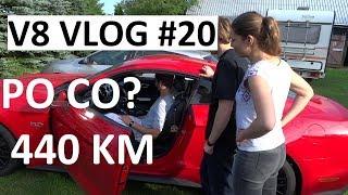 2017 Ford Mustang GT 5.0 V8 POWER! Vlog #20 Mocy Przybywaj! TEST PL