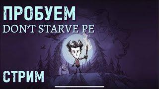 DON'T STARVE PE. Пробую выжить!